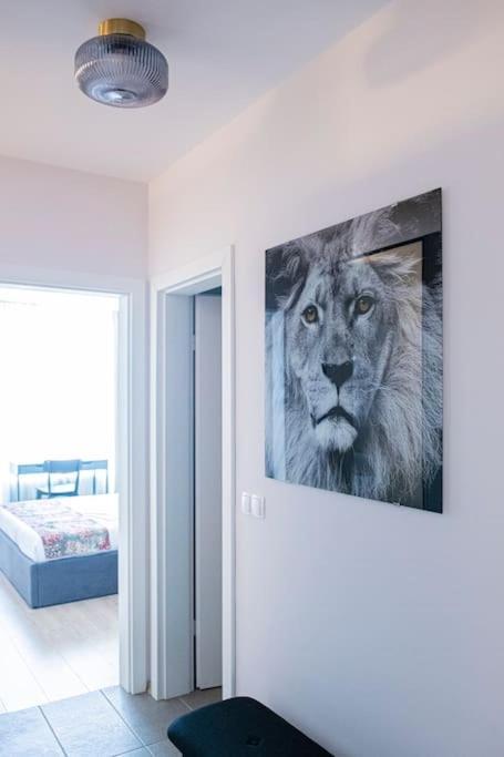 Tokiyo: A Lovely City Center 2 Bedrooms Apartment With Private Parking Sofie Exteriér fotografie